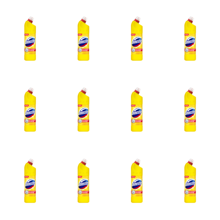 Domestos Citrus Fresh 1L X12